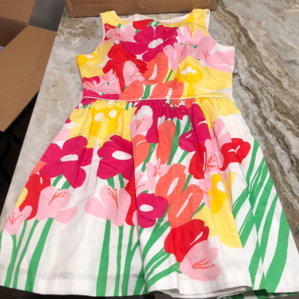 Lilly Pulitzer dress - 10
